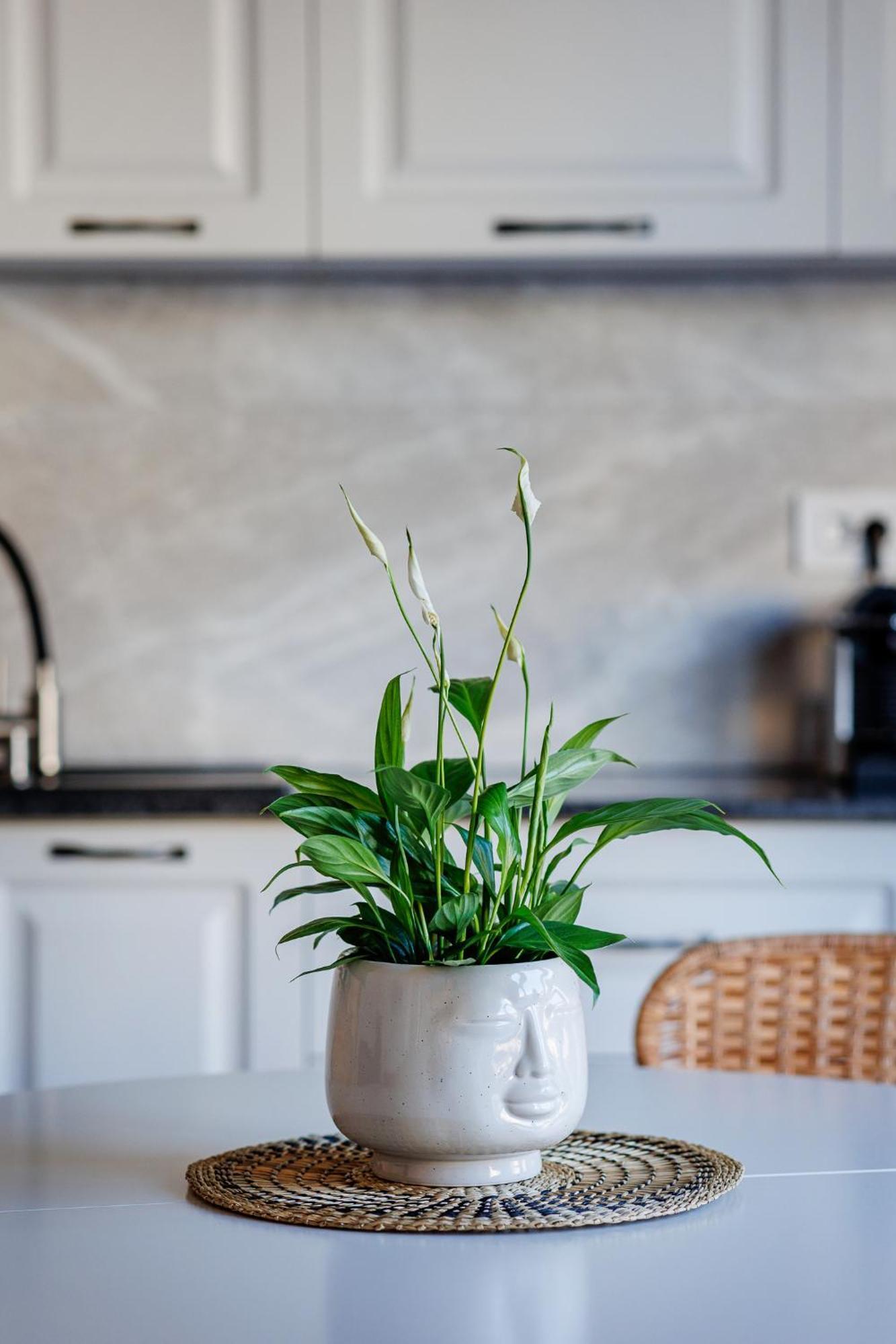 The Corner Luxe Apartment Boekarest Buitenkant foto